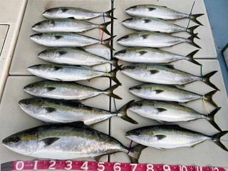 250227-1.jpg