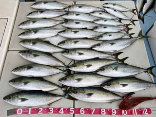 250227-2.jpg