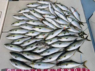 250322-1.jpg