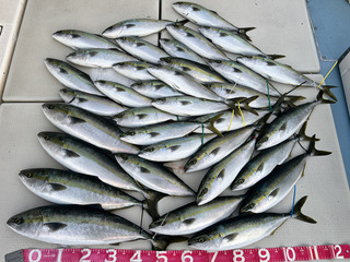 250324-1.jpg
