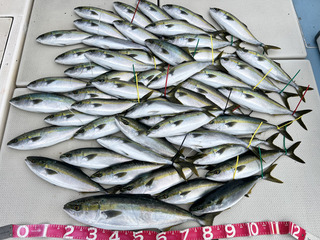 250402-1.jpg