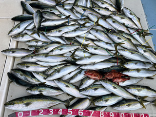 250406-1.jpg