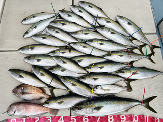 250412-1.jpg