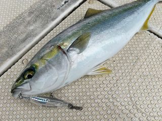250418-1.JPG