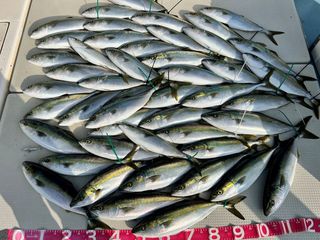 250418-2.JPG