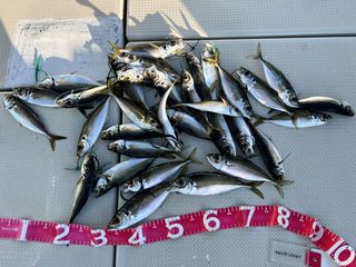 250424-2.JPG