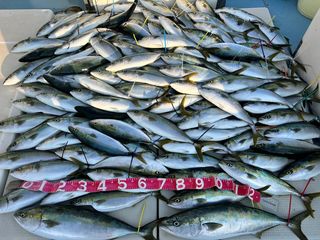 250426-2.JPG