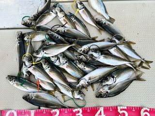 250427-2.JPG