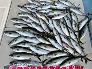 250430-2.JPG