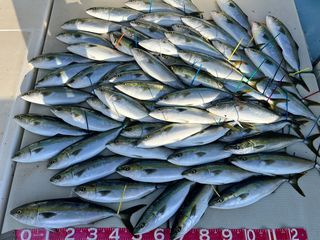 250507-1.JPG