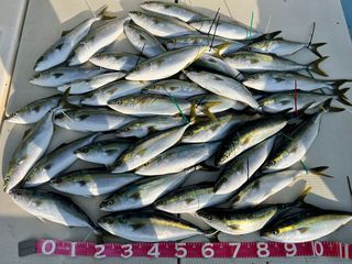250514-1.JPG