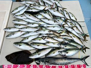 250518-1.JPG