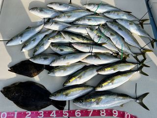 250520-1.JPG