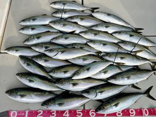 250522-1.JPG