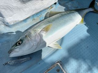 250522-4.JPG