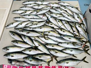 250524-1.JPG