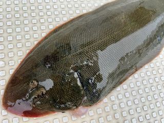 250529-3.JPG