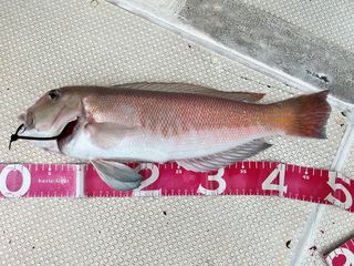 250614-2.JPG