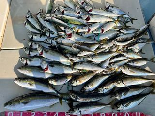 250619-1.JPG