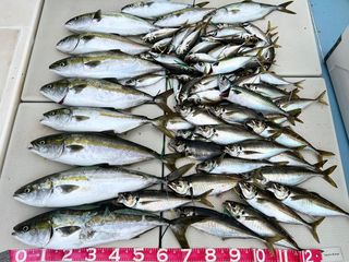 250624-1.JPG