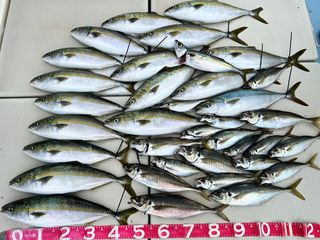250626-1.JPG