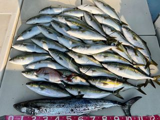 250627-1.JPG