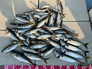 250627-2.JPG