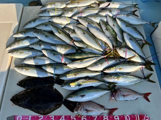 250629-1.JPG