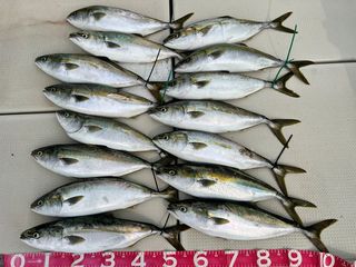 250703-1.JPG