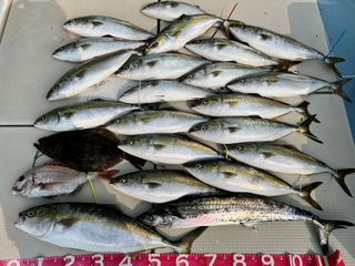 250704-1.JPG