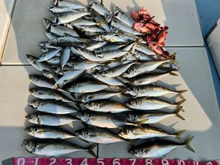 250705-1.JPG