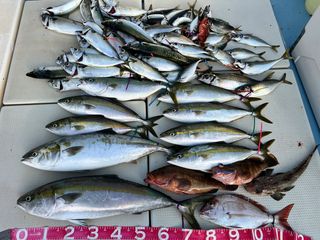 250706-1.JPG