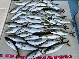 250711-1.JPG