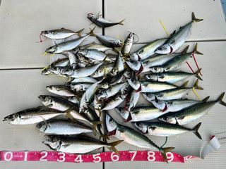 250711-2.JPG