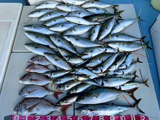 250713-1.JPG