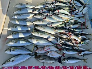 250719-1.JPG