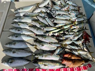 250720-1.JPG