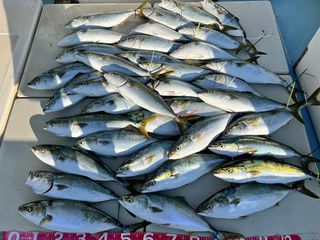 250722-1.JPG