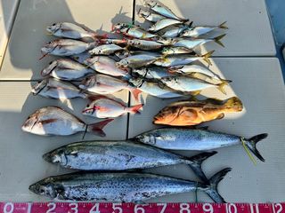 250722-2.JPG