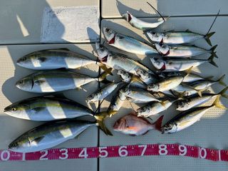 250724-1.JPG