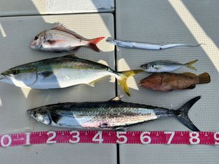 250725-1.JPG