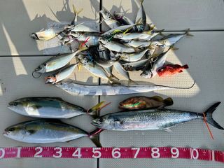 250727-1.JPG