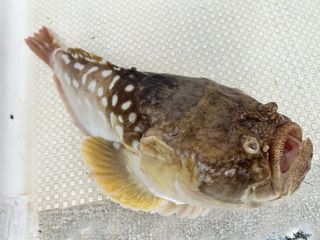 250727-2.JPG
