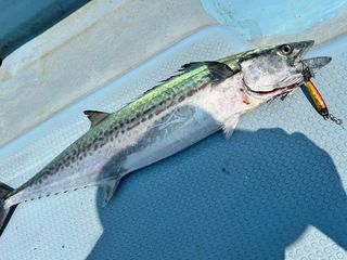 250801-4.JPG