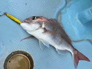250801-6.JPG
