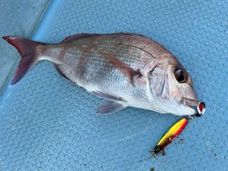 250801-7.JPG