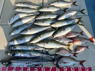 250802-2.JPG