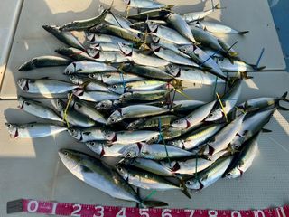280802-1.JPG